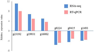 Identification of differential gene expression related to reproduction in the sporophytes of Saccharina japonica